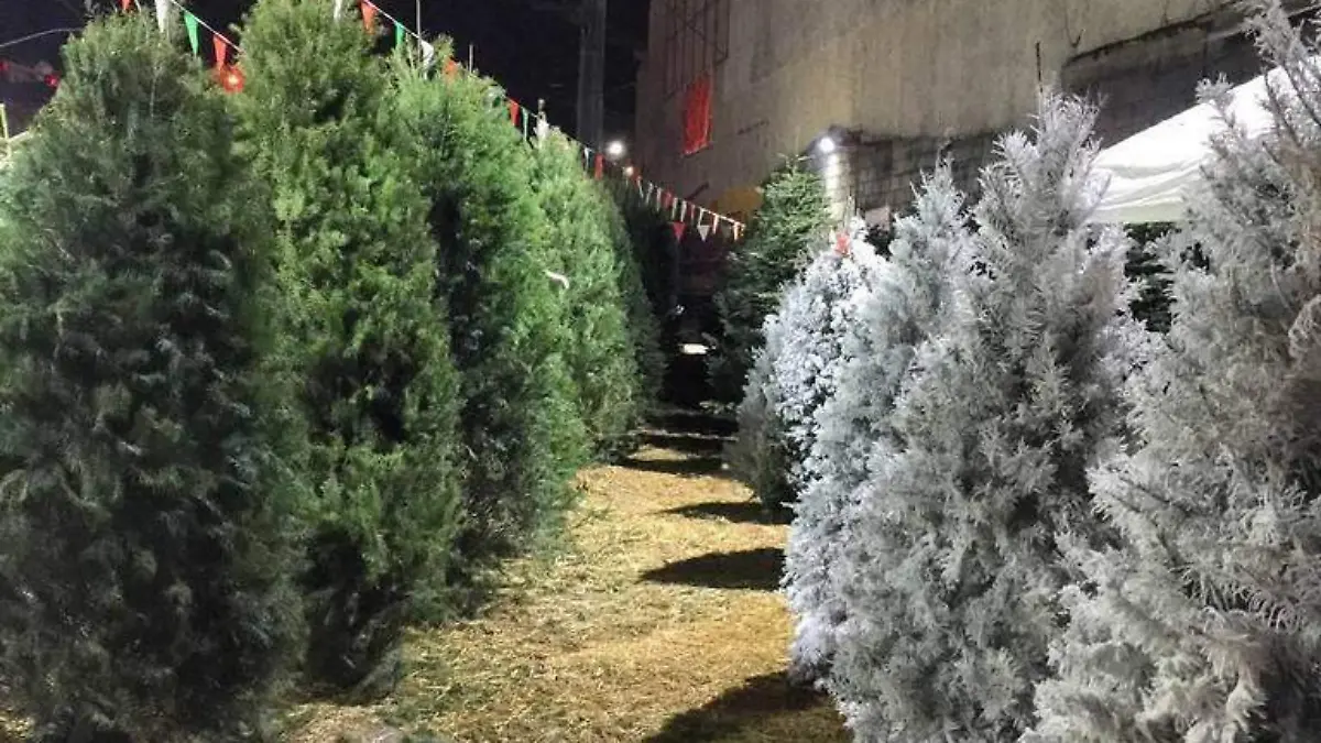 Árbol de Navidad